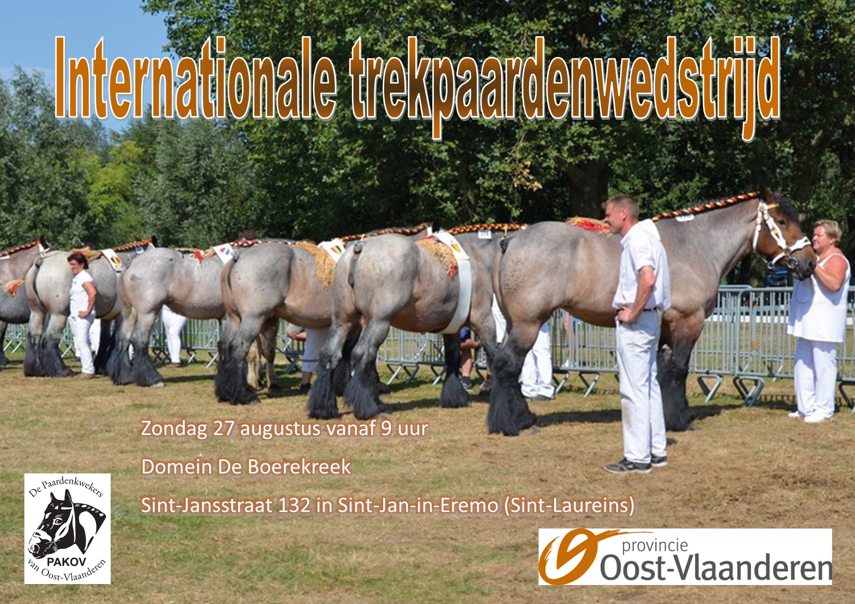 Internationale Trekpaardenwedstrijd